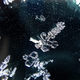 Illustration for article titled 27 Bone-Chilling Photos Of Winter